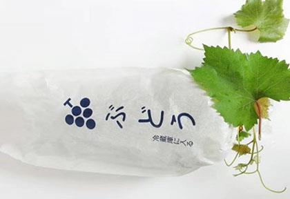【乡村振兴】十月田镇：因地制宜做强做优热带特色高效农业