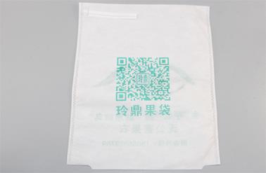 75岁大爷种出“黄金梨”1个卖50元！3大绝技惊扰农业部